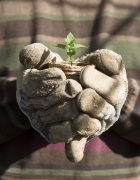 1budsinhands.jpg
