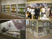 3insectsexhibition_mix.png