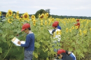 5childrenresearch4.jpg