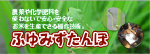 ふゆみずたんぼ