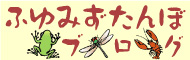 ふゆみずたんぼブログ