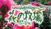 hanamaki.jpg