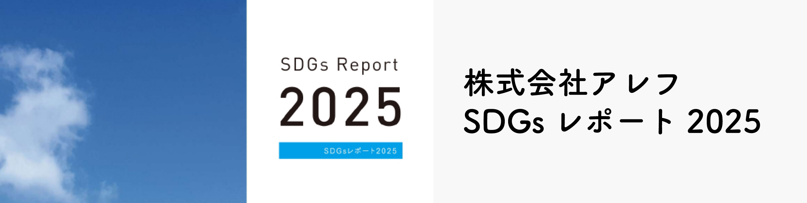 SDGsレポート2024