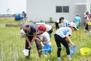 生きもの調査 秋田会場の様子