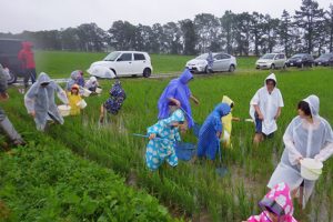 北海道当別会場は悪天候の中での生きもの調査