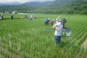 北海道仁木町会場の様子