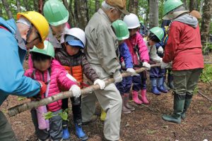 森を活性化するために手入れ中